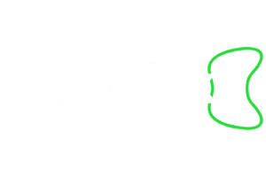 Napptix Logo
